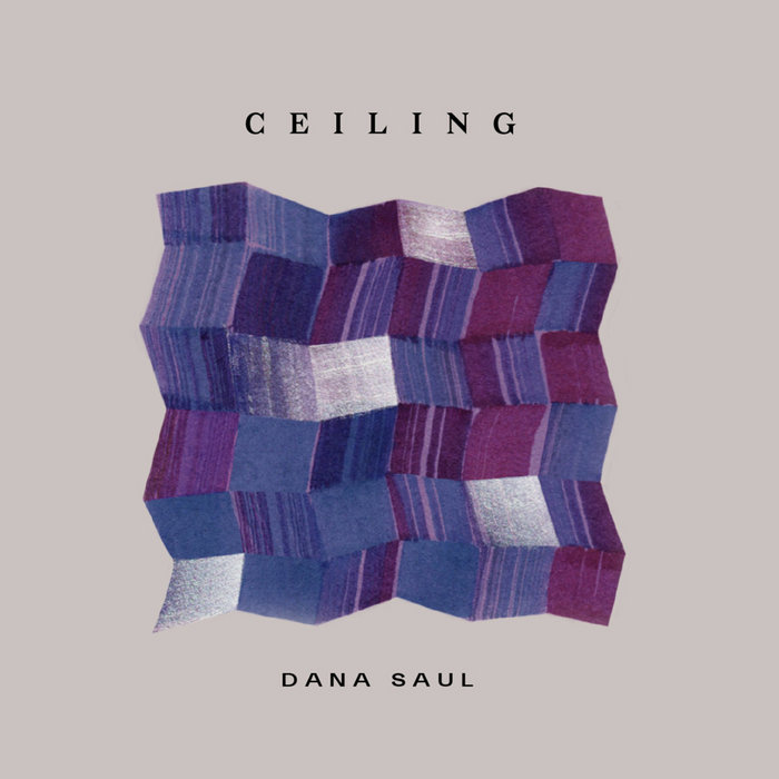 Album art work of Ceiling by Dana Saul