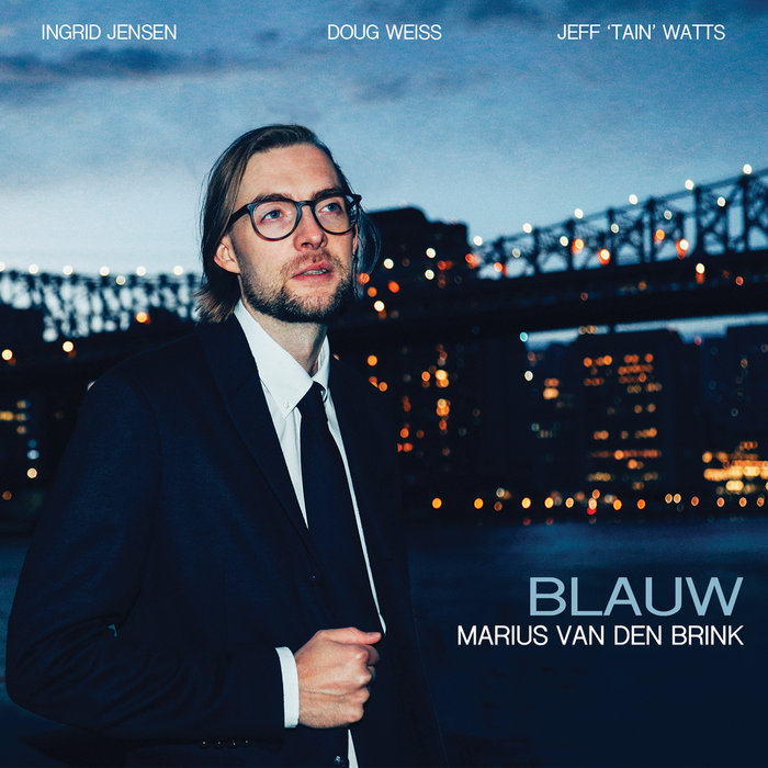 Album art work of Blauw by Marius Van Den Brink