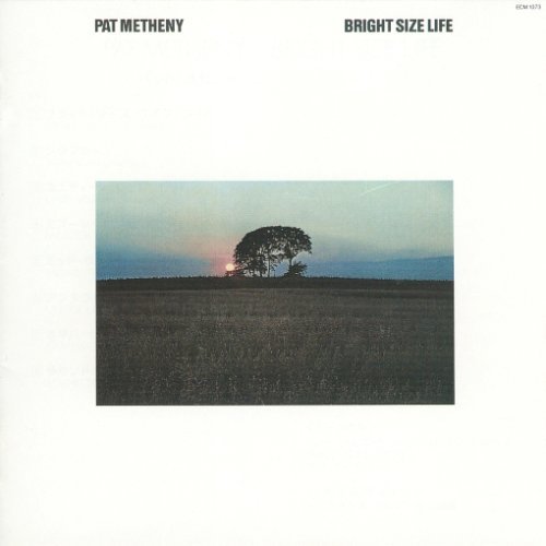 Album art work of Bright Size Life by Pat Metheny