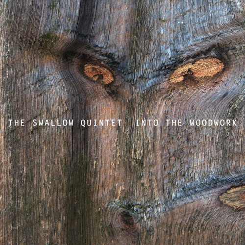 Album art work of Into The Woodwork by Steve Swallow