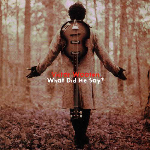 Album art work of What Did He Say? by Victor Wooten