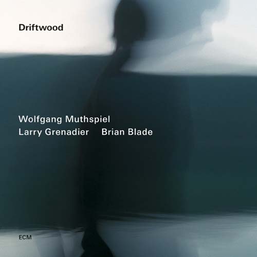 Album art work of Driftwood by Wolfgang Muthspiel